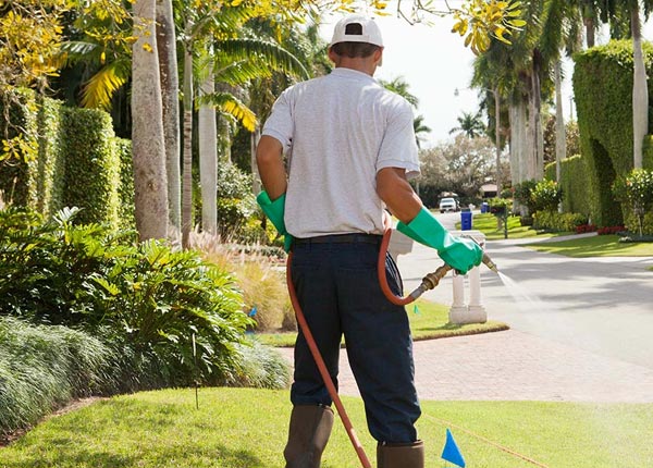 About Odessa NE Pest Control Pros